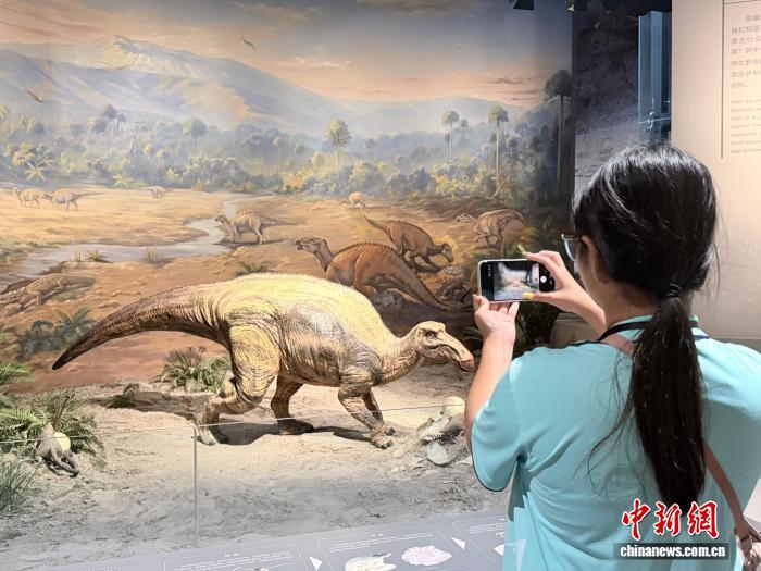 第三期美国华裔青少年“巴蜀文化品悟之旅”11日走进三星堆博物馆和自贡恐龙博物馆。图为美国华裔青少年在恐龙模型前拍照。　袁牟知博 摄