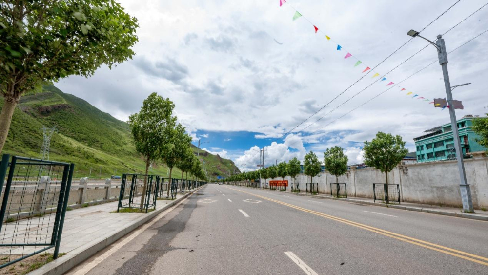 图为巴青县城绿化街道(7月28日摄)。新华网 旦增努布 摄