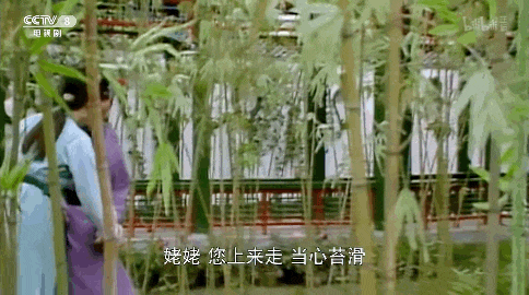 贾母初次带刘姥姥走进潇湘馆时,刘姥姥滑了一跤