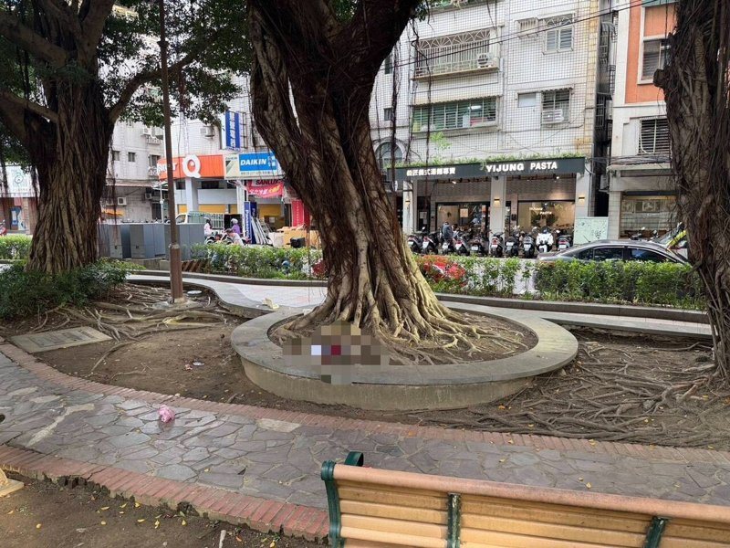 新莊區福壽公園今天傍晚發生持刀傷人案件。記者黃子騰／翻攝