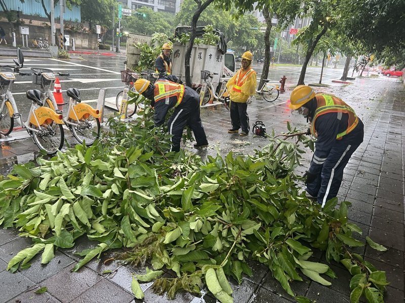 巴威颱風遠離,全台多數縣市恢復正常上班課,趁最後一天假期,各縣市也將快災後復原工作,北市出動近5000清潔隊員針對主、次要道路樹幹、樹枝、雜物等障礙物清理,目前大致已清理完成。圖/環保局提供