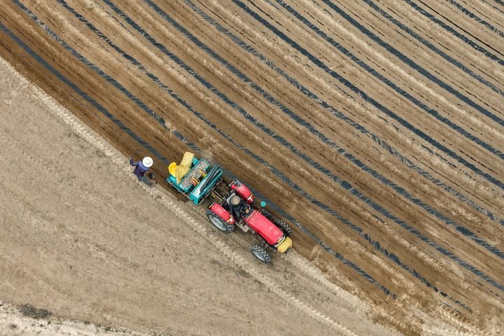 2026年5月19日，在甘肃省白银市会宁县八里湾乡一处高标准梯田，工作人员在进行覆膜及播种作业（无人机照片）。新华社记者 郎兵兵 摄