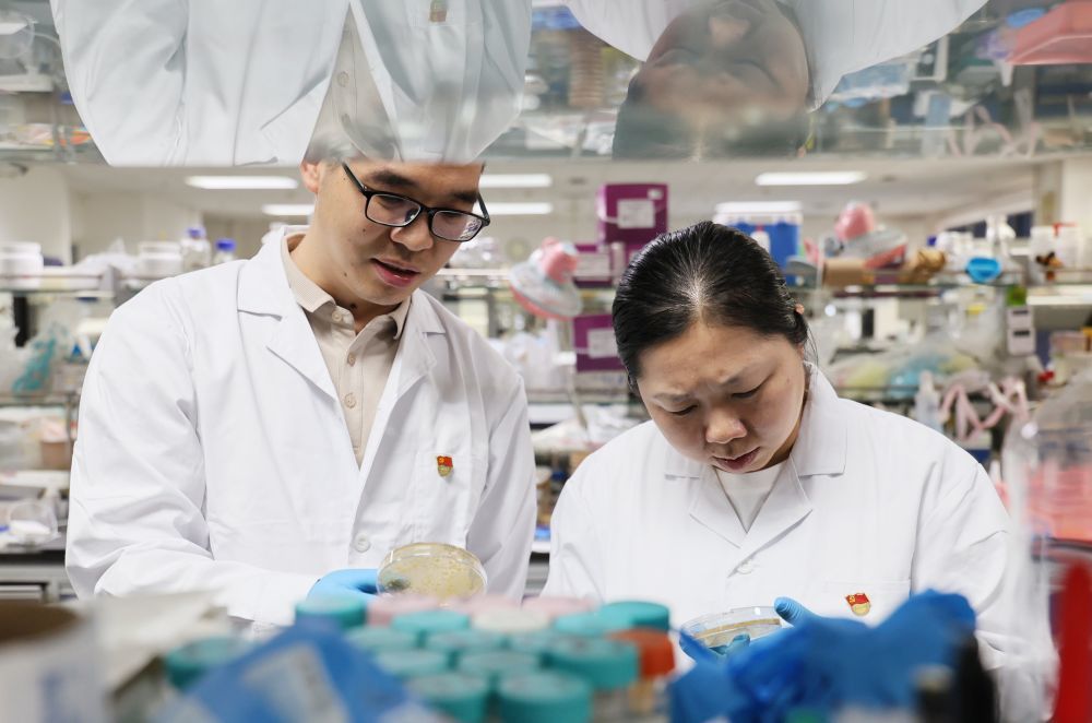 2026年6月30日，在中国科学院天津工业生物技术研究所系统与合成生物技术研究组，科研人员对菌株进行形态及颜色分析。今年，中国科学院天津工业生物技术研究所低碳合成工程生物学重点实验室党支部获评全国先进基层党组织。多年来，实验室团队接连产出多项标志性成果，累计申请专利超200项。新华社记者 李然 摄
