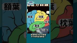 新事物記不住 失智症不只有阿茲海默症！