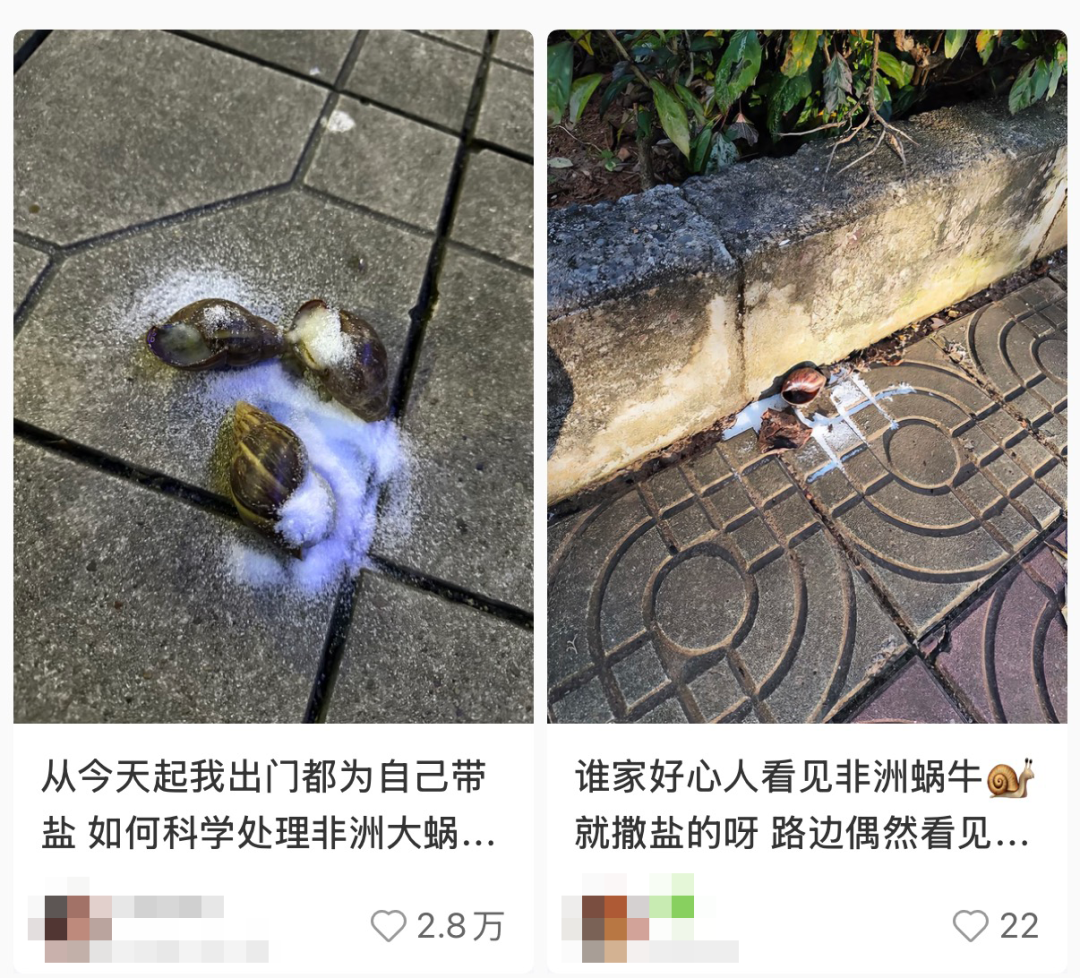 社交媒体截图