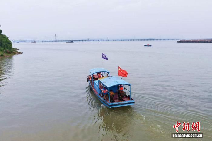 图为在江西省九江市湖口县,江豚协助巡护队开展日常巡护工作。王林华 摄