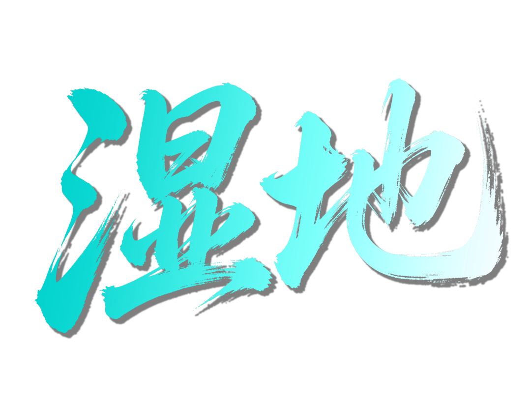俯瞰中国台湾，20张高清卫星影像定格宝岛多样地貌与鲜活人文