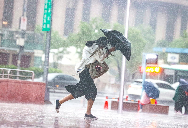 中度颱風白海豚暴風圈正通過台灣北部海面，中部以北強風大雨感受明顯。記者曾原信／攝影