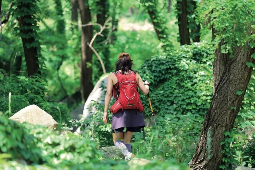 在泰山东御道的游客