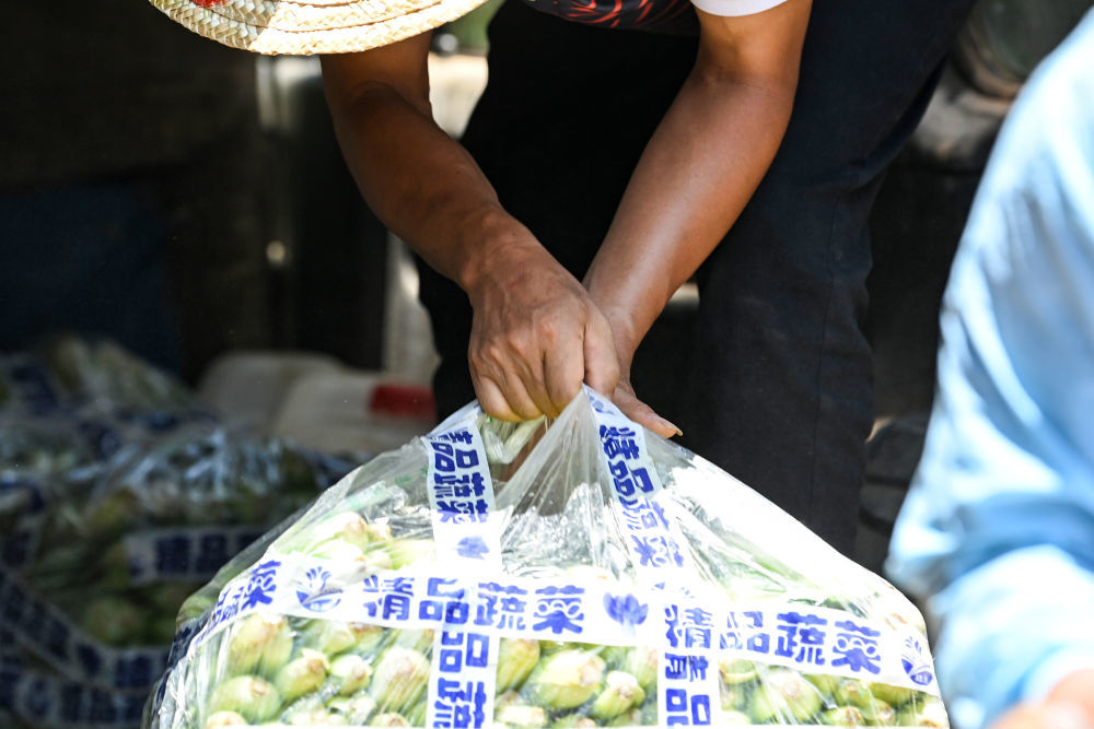 7月13日,在广西横州市镇龙乡那旭村,救援人员搬运生活物资。新华社记者 曹祎铭 摄