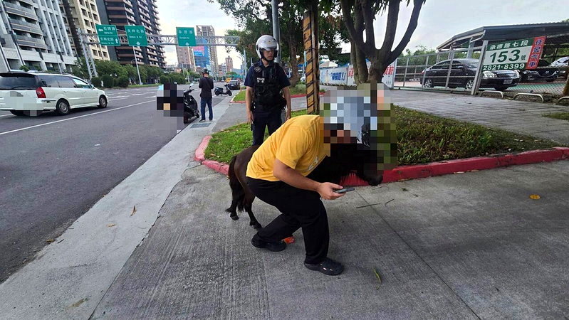 員警趕赴現場，發現馬匹已由熱心民眾引導至路旁安置，後續查出飼主身分，當場依道路交通管理處罰條例開罰，另移請動保處裁處。圖／警方提供