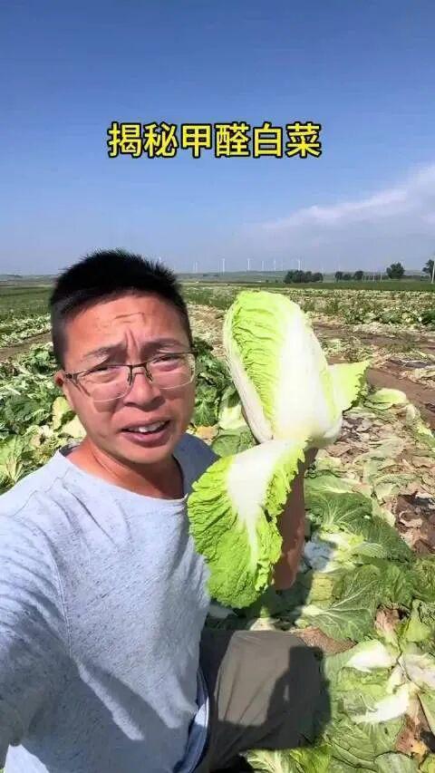专访曝光“甲醛白菜”博主:“担心被报复,但总得有人站出来”,一年曝光50起问题,每月辗转十省做调查