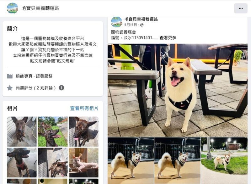 民眾可以透過動保處「毛寶貝幸福轉運站，轉介適合的飼主。記者黃子騰／翻攝