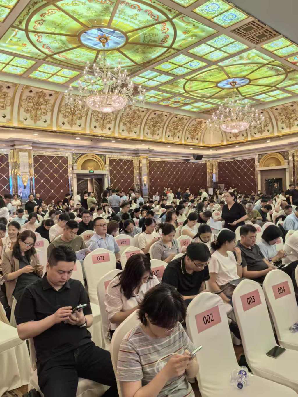 第12批集采现场