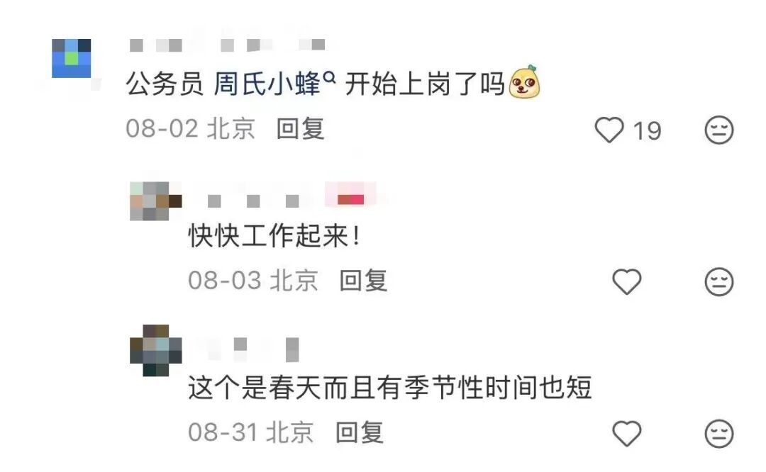今年8月,网友们就开始纷纷呼唤周氏啮小蜂上线。(图/小红书截图)