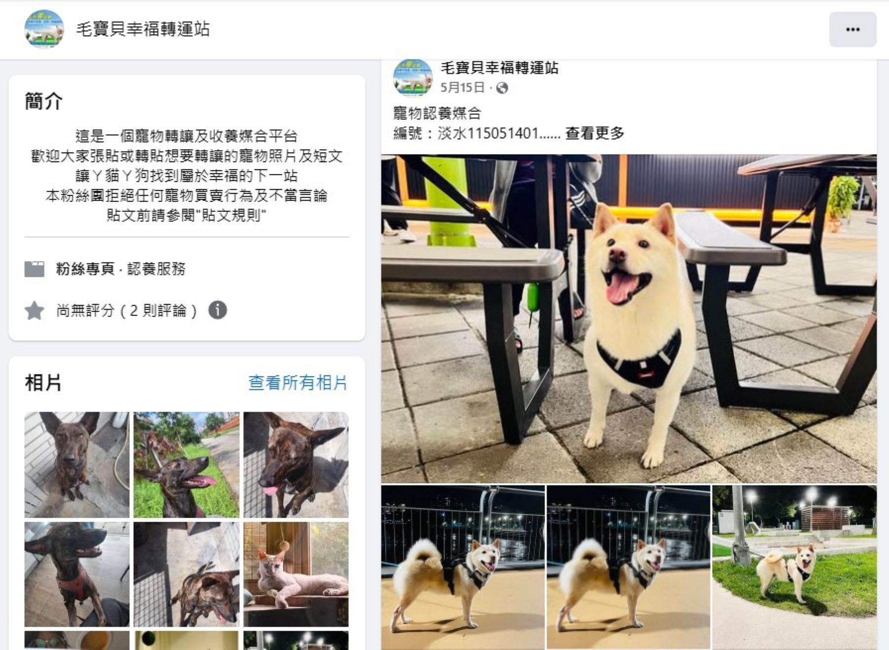 透過動保處「毛寶貝幸福轉運站（連結網址httpsreurl.ccv53GA1）」，轉介適合的飼主。