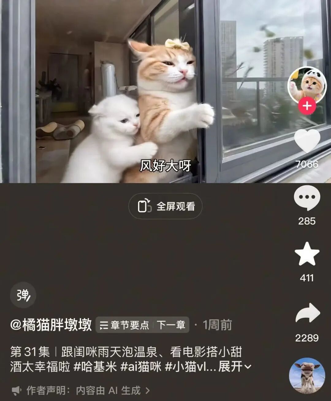 以两只“闺蜜”橘猫为主角的账号“橘猫胖墩墩”,目前在全平台拥有35万左右粉丝
