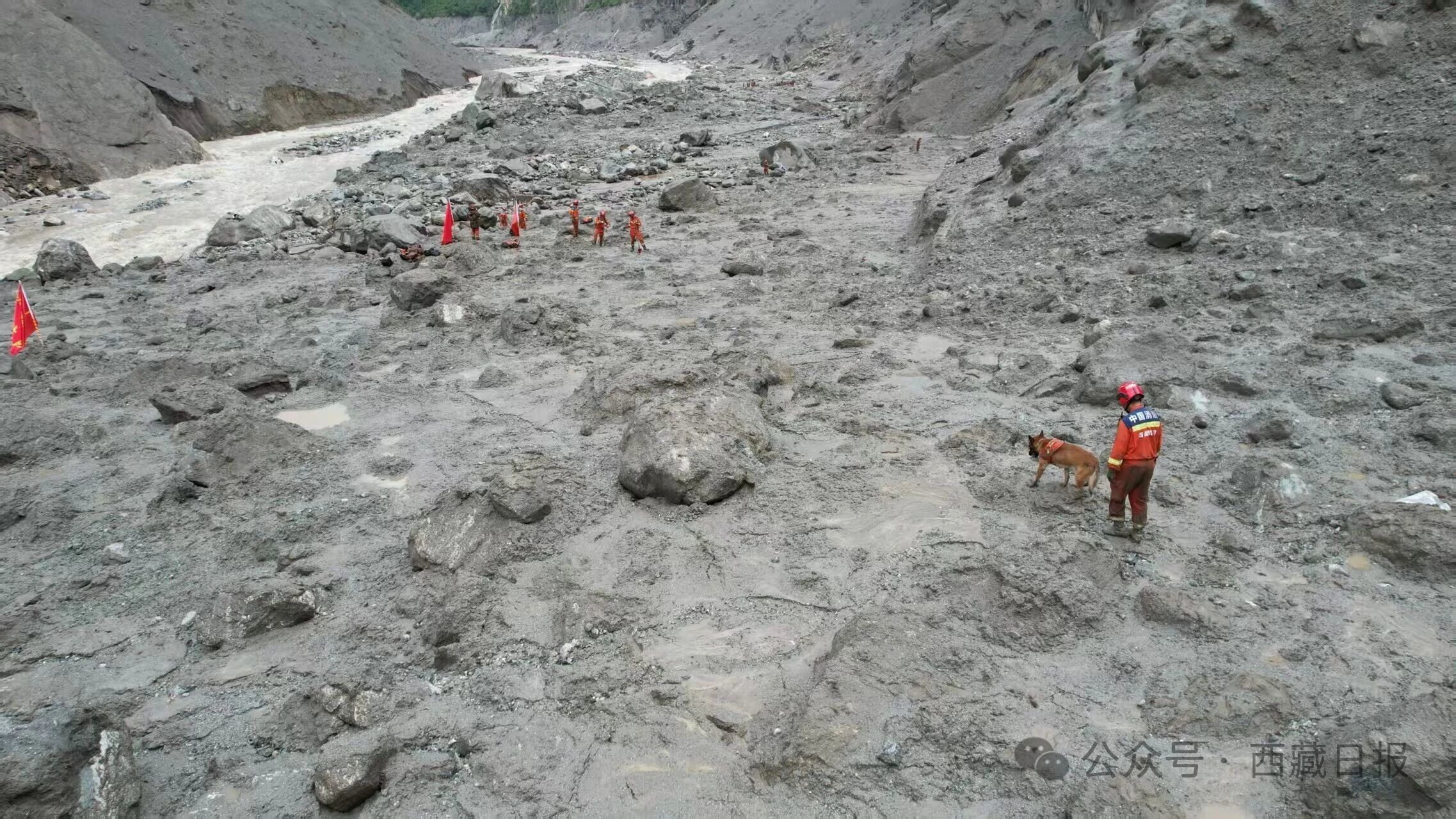 痛心!吉隆口岸建筑只剩钢筋骨架