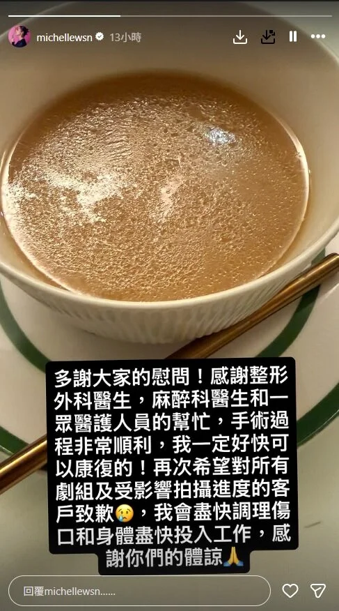 衛詩雅透過社群回應曝現況。圖/截自Instagram/michellewsn