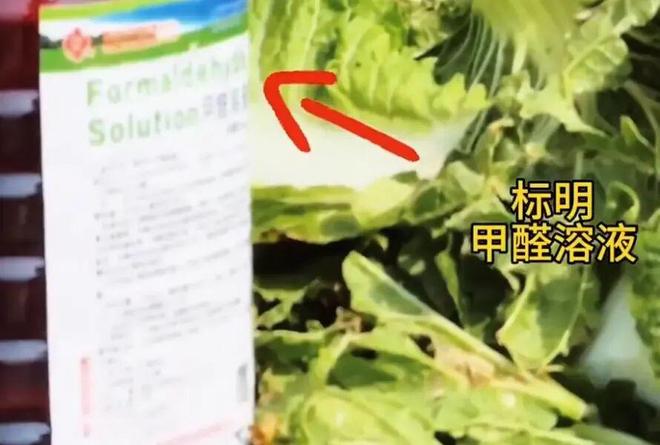 专访曝光“甲醛白菜”博主:“担心被报复,但总得有人站出来”,一年曝光50起问题,每月辗转十省做调查