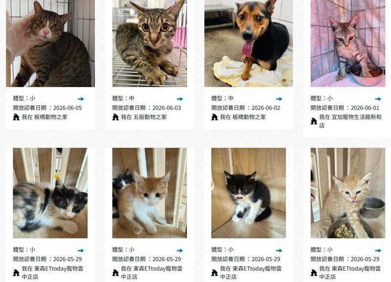 想認養寵物可以到新北市動保處的認養小棧看看。記者黃子騰／翻攝