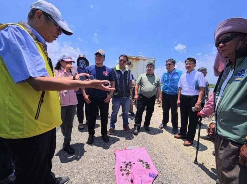 嘉義文蛤出現豪雨遲發性災損,400公頃文蛤養殖池死亡率近8成。圖/取自蔡易餘臉書