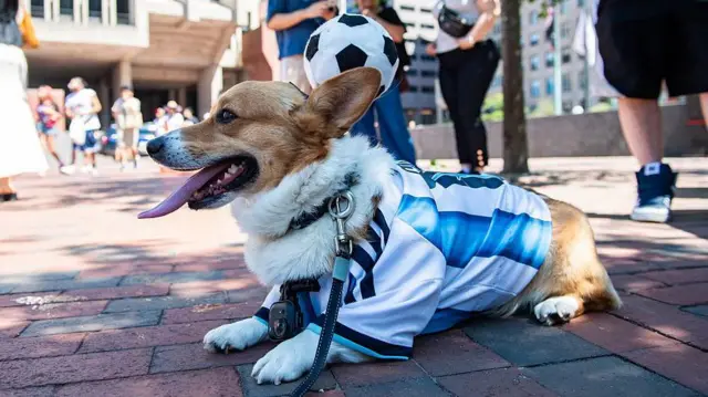 一只柯基犬穿上利昂内尔·梅西球衣,在波士顿出席2026年世界杯决赛西班牙对阿根廷的观赛派对(19/7/2026)