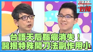 台語天后詹雅雯「腦瘤消失」！醫揭腦瘤手術「開這處」副作用小！【#醫師好辣】賈蔚 洪永祥 陳木榮 主題特映版