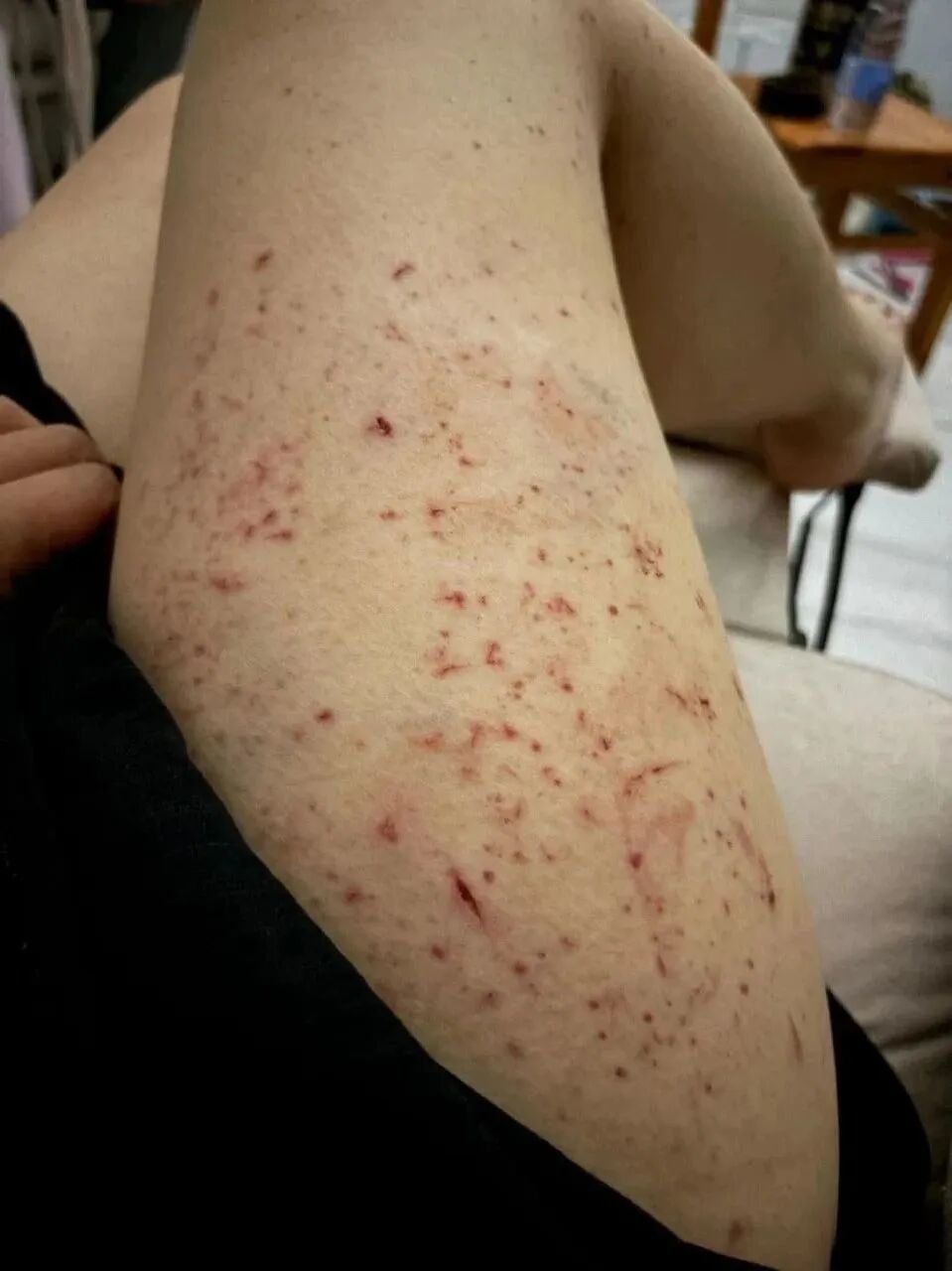 （图/受访者提供）