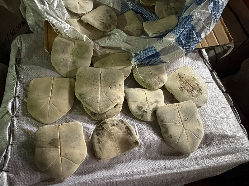 保安警察第三總隊第一大隊日前在基隆關執行貨物查驗時,攔截一起大規模走私瀕危野生動物龜板。記者游明煌/翻攝