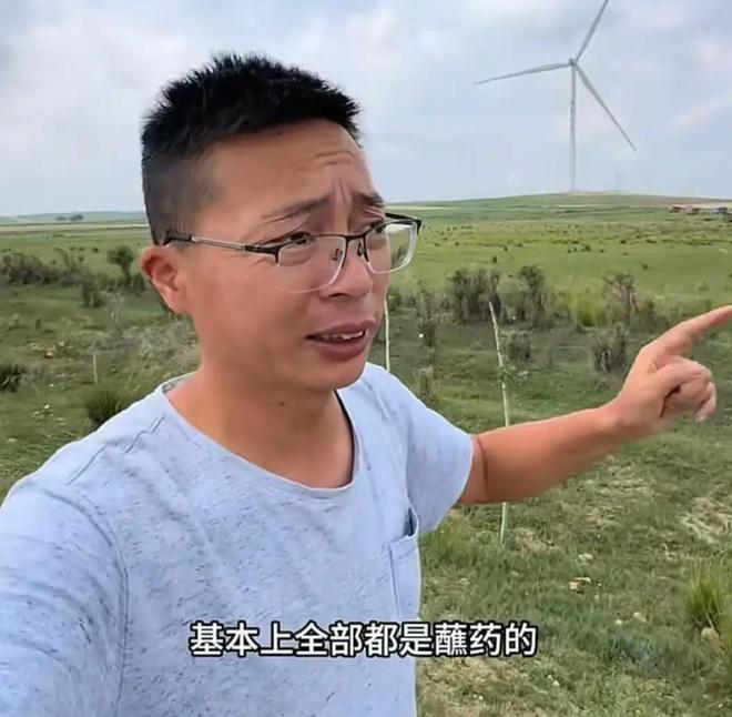 专访曝光“甲醛白菜”博主:“担心被报复,但总得有人站出来”,一年曝光50起问题,每月辗转十省做调查