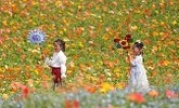 以春为媒 暖意涌动——盘点清明假日消费新亮点