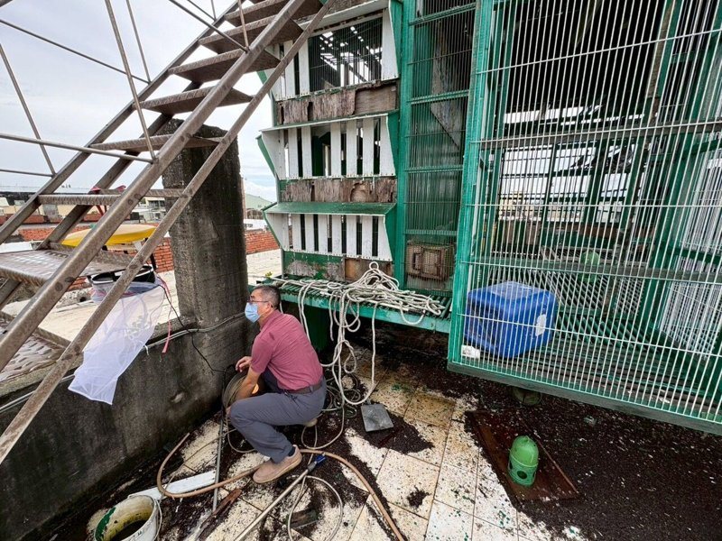 雲林縣出現今年首例日本腦炎個案，經疫調發現個案住家附近有鴿舍，是病媒蚊活動的高風險場域，衛生局已掛燈防治。圖／雲林縣衛生局提供