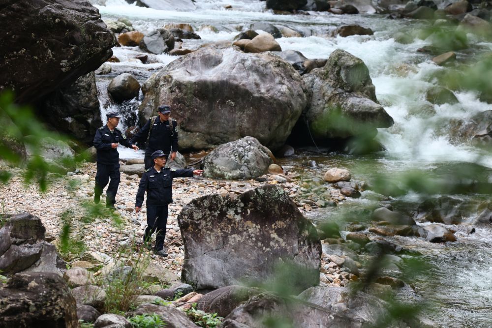 2026年5月8日，武夷山国家公园福建桐木保护站护林员罗贤华（前）与同事在溪流边巡查。新华社记者 姜克红 摄