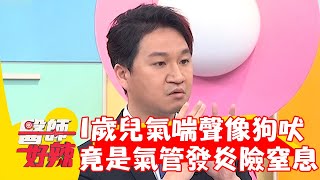 1歲兒氣喘聲音像狗吠!竟是氣管發炎險窒息?!【#醫師好辣】20230401 part1 EP1518 篠崎泫 魏智偉